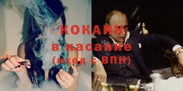 сатива Пестово