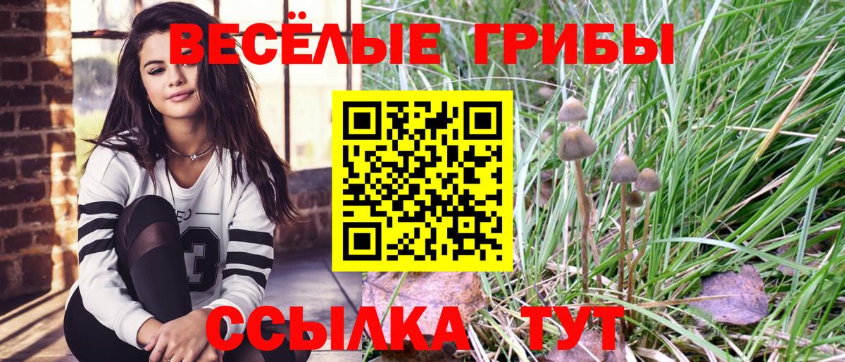 Галлюциногенные грибы GOLDEN TEACHER Октябрьский
